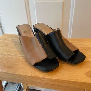 Intentionally blank mules